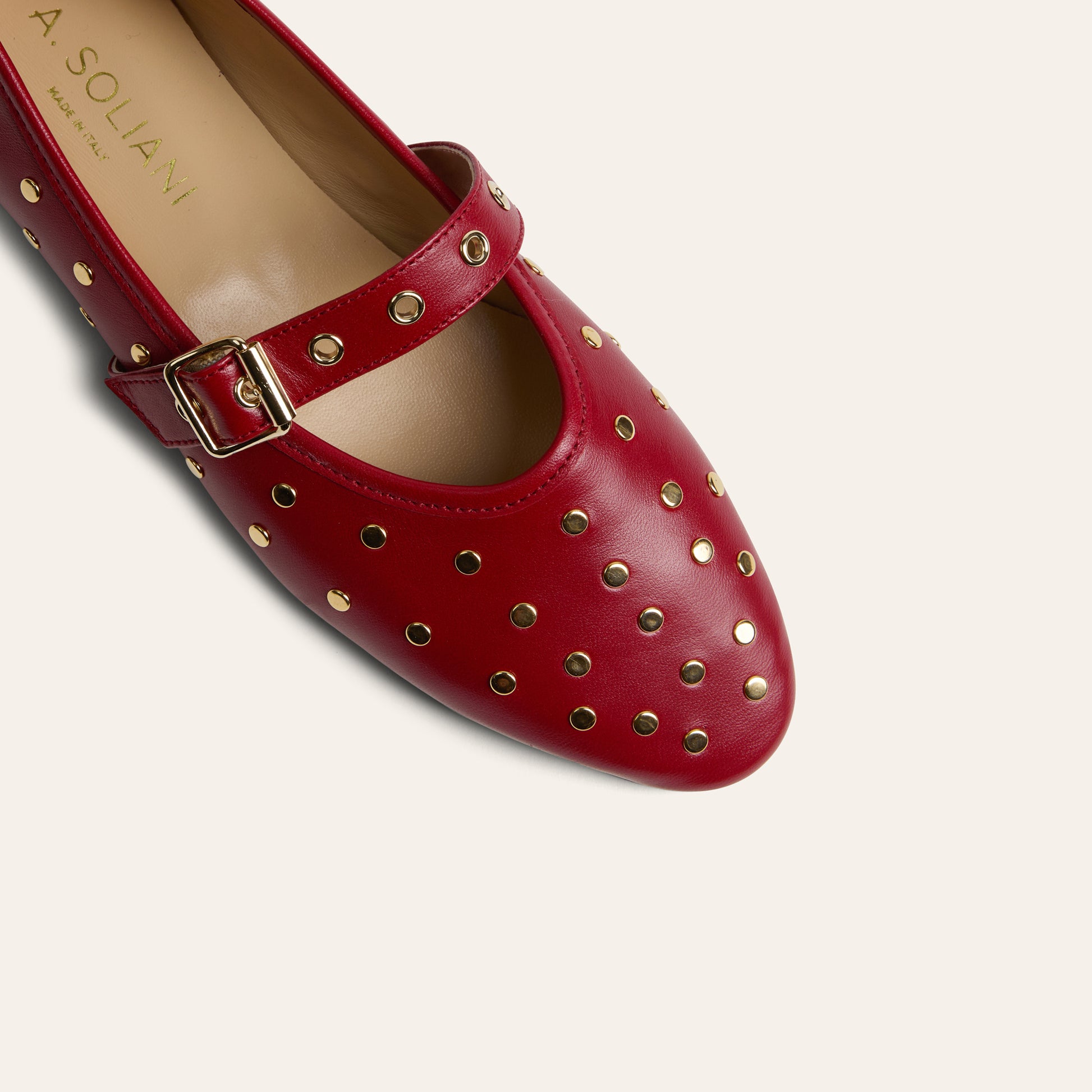 Como Buckle - Hibiscus Studs