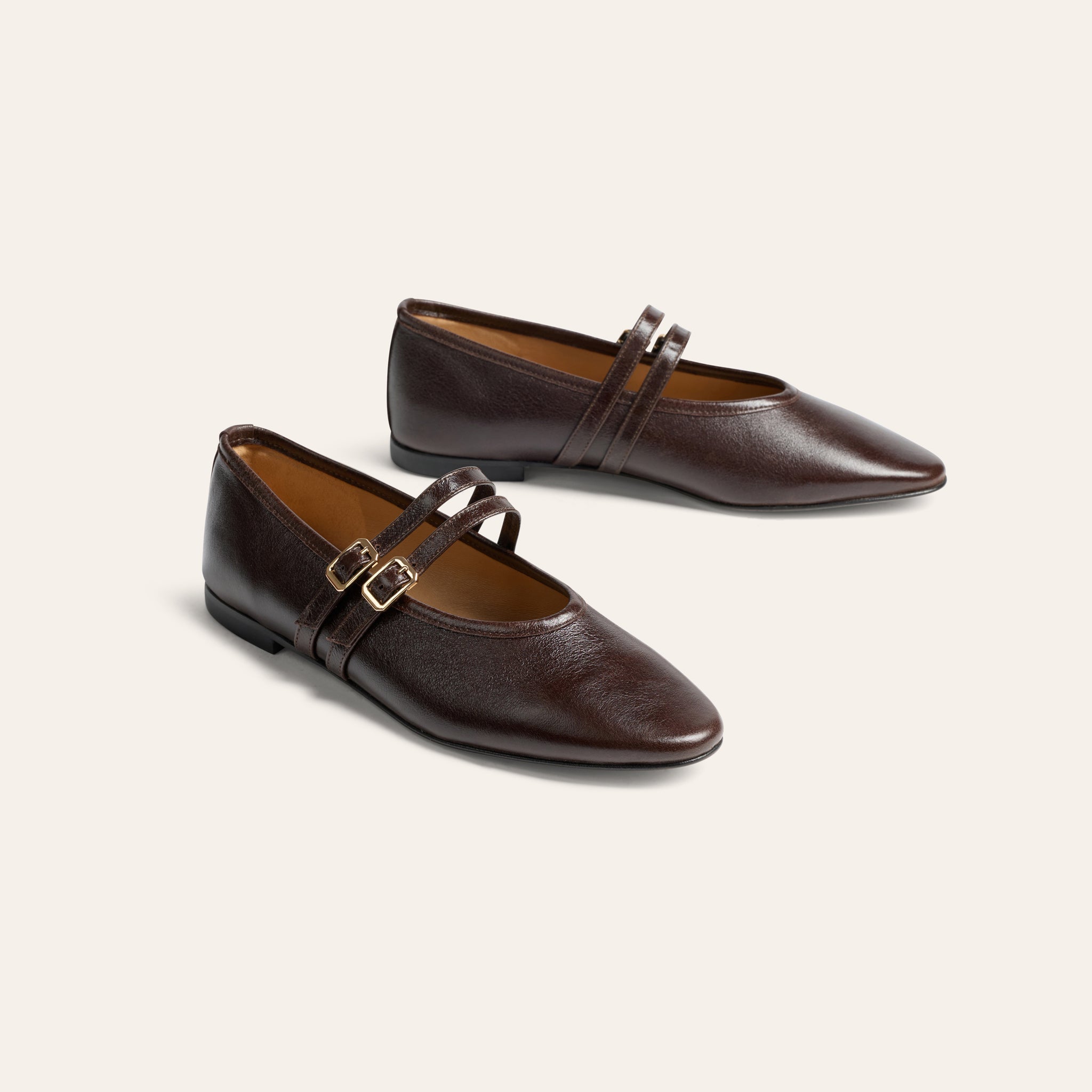 A pair of dark brown leather Mary Jane flats with pointed toes and double buckle straps, displayed on a light beige background.