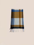 Load image into Gallery viewer, Scarf - Caramel/Blue
