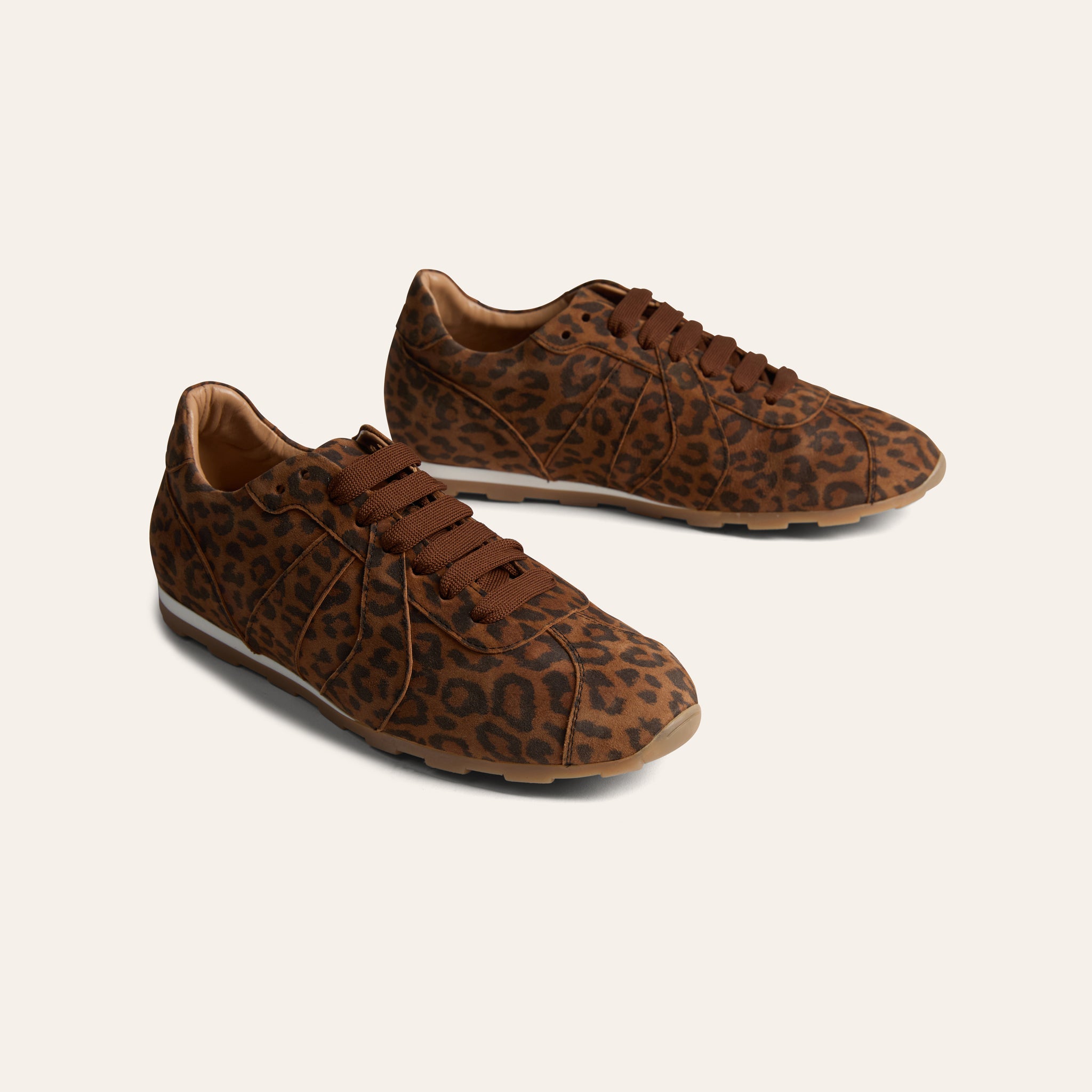 Puglia- Leopard