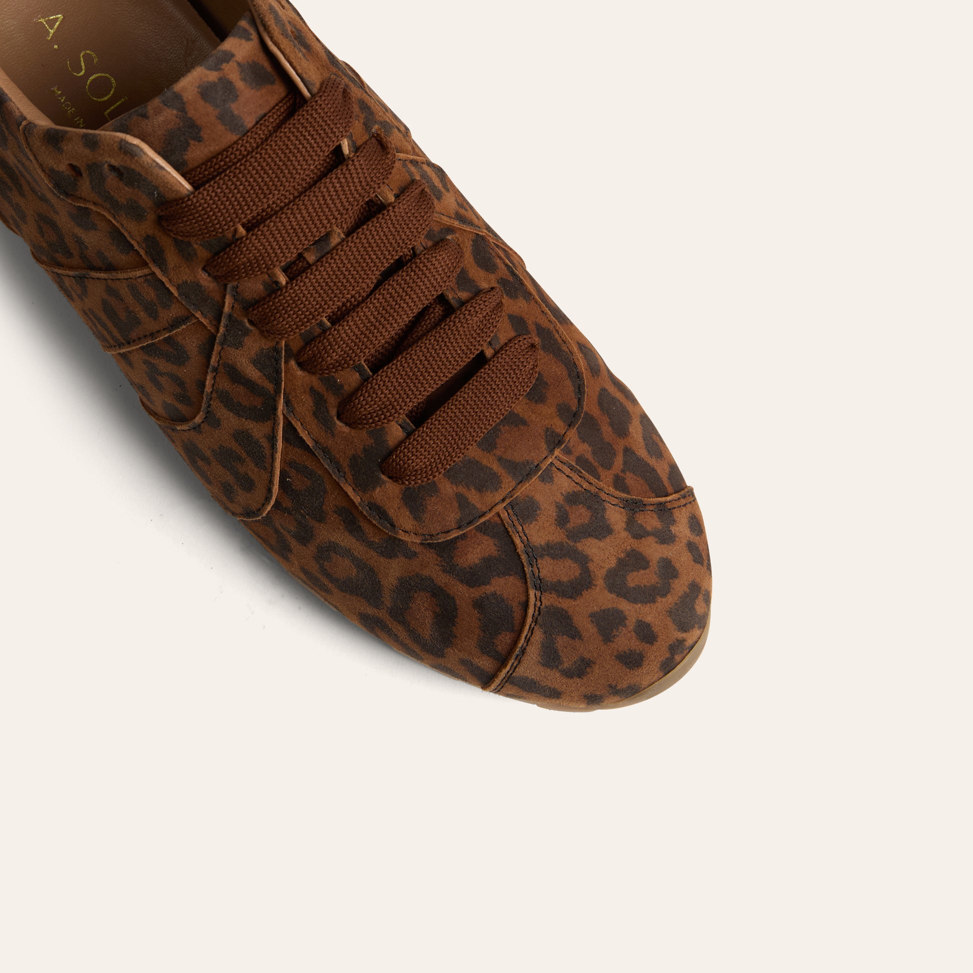 Puglia- Leopard